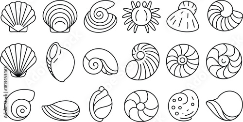 Collection of black and white seashell outline icons featuring conch, spiral, clam, and scallop shell shapes in minimal style