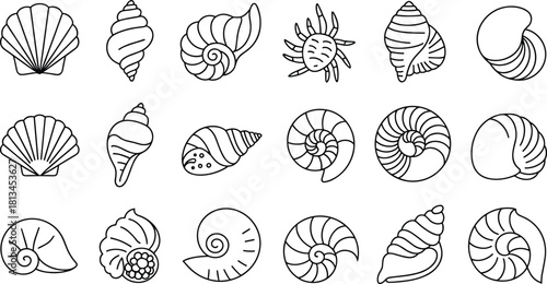 Collection of black and white seashell outline icons featuring conch, spiral, clam, and scallop shell shapes in minimal style