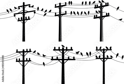 Utility poles, birds on wires, silhouette infrastructure, electric grid, nature interaction, crossarms, transformers - flavector