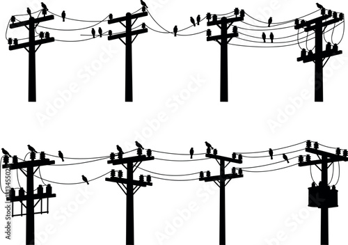 Utility poles, birds on wires, transformer silhouettes, electric grid, infrastructure design, nature interaction - flavector