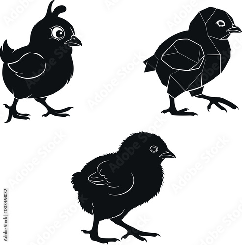 Stylized chick illustrations in cartoon, geometric, and realistic styles, black-white artistic trio - flavector