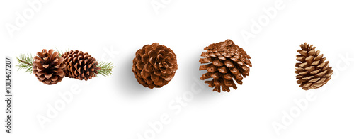 set of pine cones isolated on transparent background for christmas decoration designs greeting card and invitation card banner 