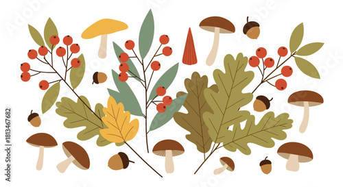 Collection of stylized autumn elements including mushrooms, berries, acorns, and oak leaves.