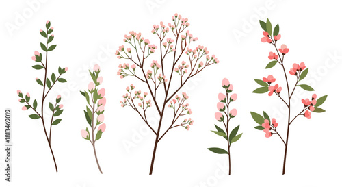 Collection of delicate pink flowering branches with green leaves on a white background.