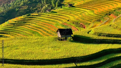 Aerial view of golden rice terraces at Mu Cang Chai town near Sapa city, North of Vietnam. Beautiful terraced rice field in harvest season in Yen Bai province. Travel and landscape concept.