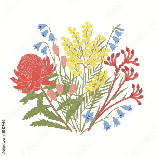 Australian native flowers including waratah, kangaroo paw, wattle and bluebells bouquet.