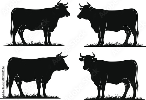 Black silhouette vector illustration set of four horned cows standing on grass for livestock farming agriculture concept design element art.