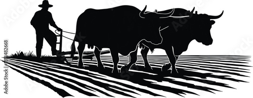 Black silhouette vector illustration of rural farmer man ploughing agricultural field with two horned oxen on white background for farming concept design.
