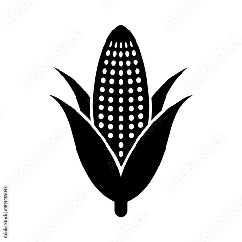 Ear of Corn Vector Icon on White Background.