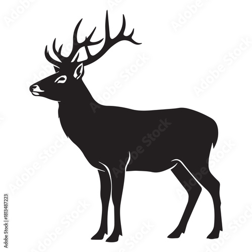 Whitetail deer silhouette vector flat illustration design