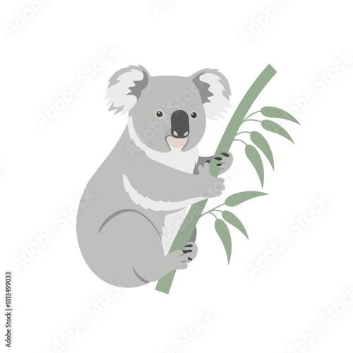 Cute koala bear clinging to eucalyptus branch. Australian wildlife vector illustration.
