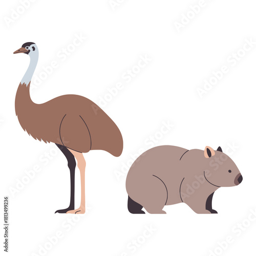 Emu and wombat standing side by side, showcasing australian wildlife, isolated on white.