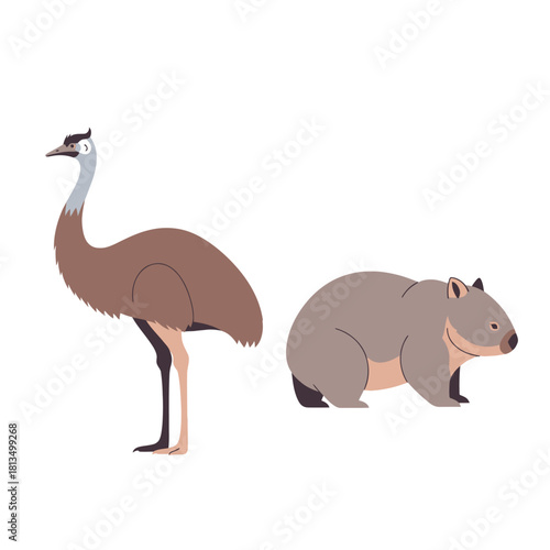 Australian wildlife illustration featuring an emu and a wombat on a clean white backdrop.