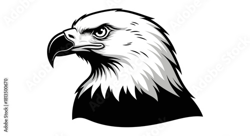 Black and white vector illustration of a powerful eagle's head, a strong and proud bird of prey graphic element for a mascot or logo
