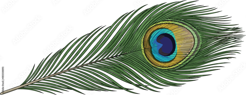 Fototapeta premium Stylized peacock feather with eye pattern, vibrant green and blue colors, elegant nature motif, flat vector illustration