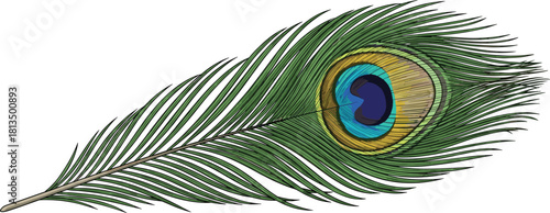 Stylized peacock feather with eye pattern, vibrant green and blue colors, elegant nature motif, flat vector illustration