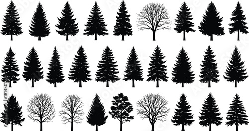 Silhouette collection of diverse tree types, coniferous and deciduous species, botanical comparison chart, flat vector illustrationSilhouette collection of diverse tree types, flat vector illustration