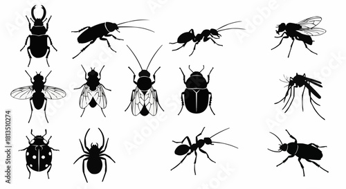 Assorted Insect Silhouettes Diverse Collection of Bug Outlines for Designs and Educational Resources - Detailed Vector Art