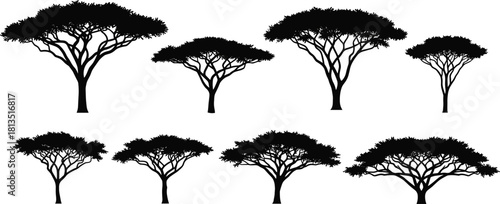 Acacia tree silhouette set, flat-top canopy shapes, savanna vegetation vector art, botanical design, cad drawing flat vector illustration