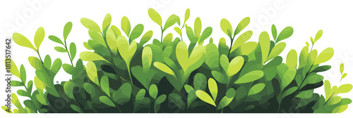Vector illustration of lush green bush with dense leaves and fresh natural foliage in flat minimalist style for gardening and nature backgrounds