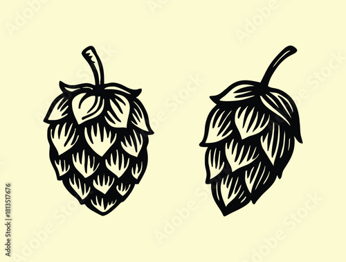 Vintage black and white woodcut illustration of two fresh hop cones.