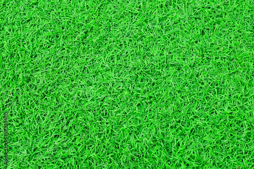 Top view Green grass texture background. Panoramic web banner or wallpaper with copy space.