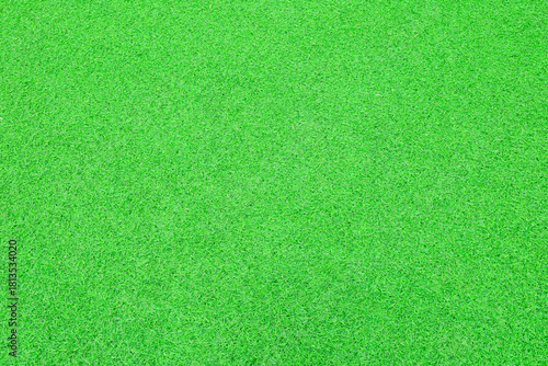 Top view Green grass texture background. Panoramic web banner or wallpaper with copy space.