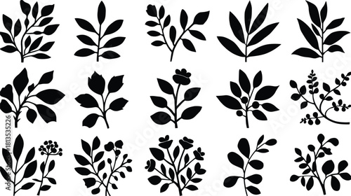Collection of black silhouette botanical elements with leaves and flowers on white background