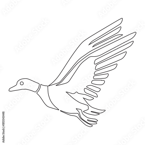 Flying Duck Outline
