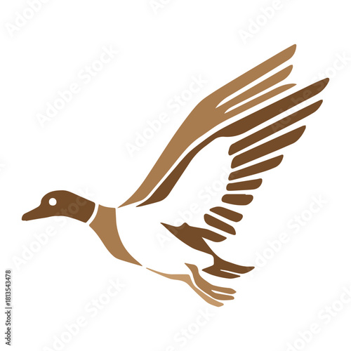 Flying Duck Illustration