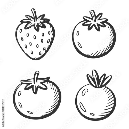 Hand drawn doodle set of fruits icon