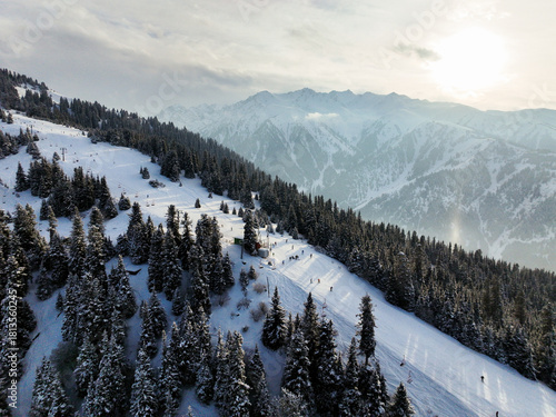 Aerial high angle view of skiers and snowboarders on a sunlit slope bordered by a dense, dark coniferous forest, with snowy distant mountain ranges visible