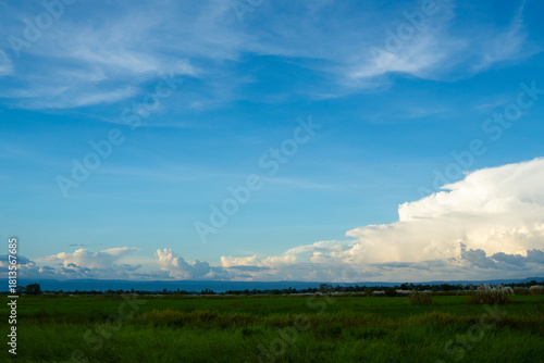 Beautiful summer scenery with blue sky, white clouds and green fields.