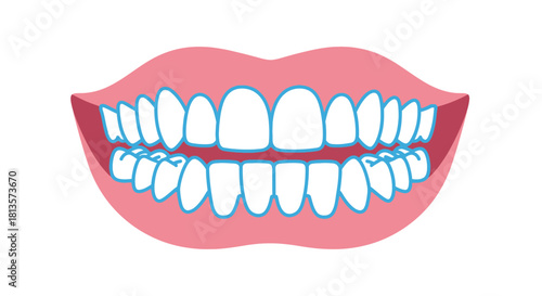 Illustration of a full set of healthy human teeth and pink gums, representing good oral hygiene, dental care, and general health, isolated on a clean white background.