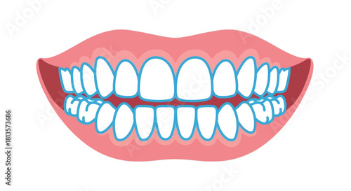 Healthy human teeth illustration showing a complete set of clean, white teeth within pink gums and lips, emphasizing dental care, oral hygiene, and perfect dental alignment for medical use.