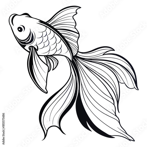 Elegant black and white sketch of a flowing goldfish with ornate fins and tail swimming gracefully