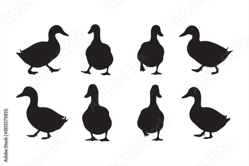 cute bird and duck silhouette illustration set
