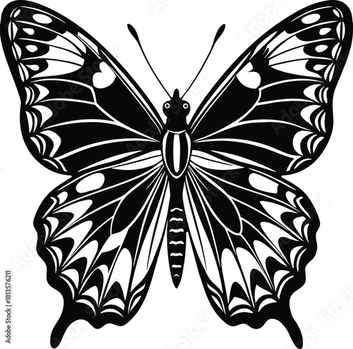 Detailed black and white illustration of a large butterfly with intricate wing patterns and delicate antennae