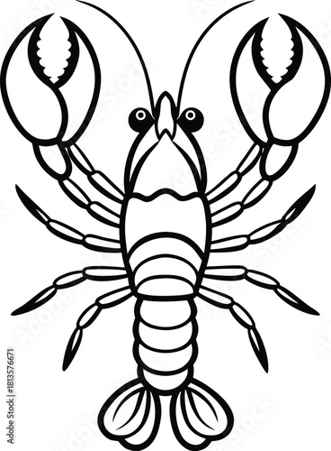 Detailed black and white line drawing illustration of a crawfish or crayfish viewed from above with claws raised