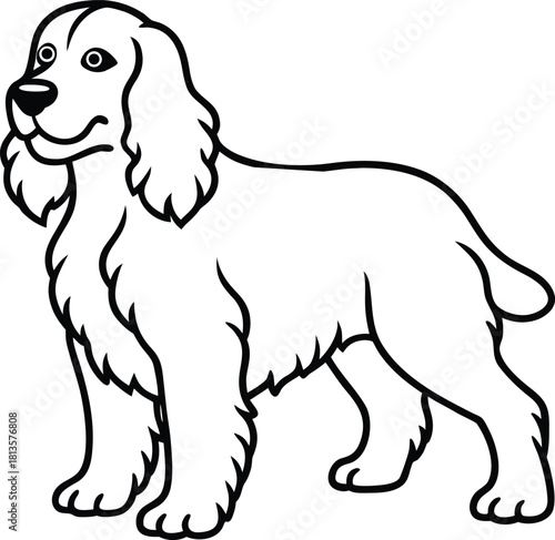 Outline illustration of a happy english cocker spaniel dog standing and looking to the left