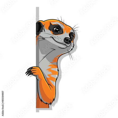 Cute Meerkat Peeking Around Corner Illustration.