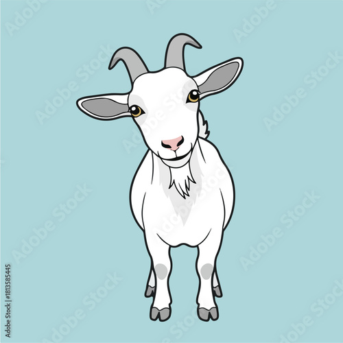 Cute white goat with horns and beard looking directly at camera.