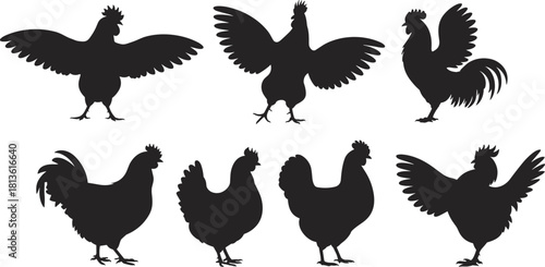 Collection of chicken and rooster silhouette vector illustrations showing various poses, farm bird graphics, poultry shapes, isolated black designs