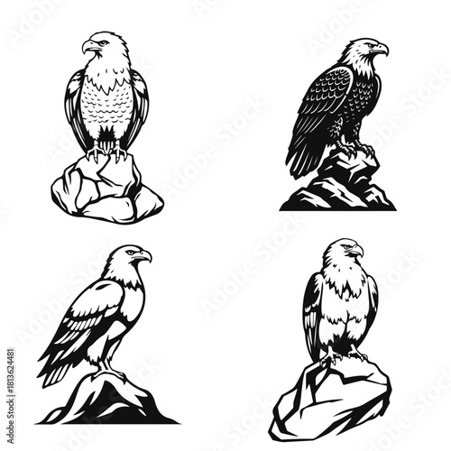 A collection of eagles perched on a rock, in a bold black and white style, a powerful bird of prey logo - eagle logo, bird emblem, wild eagle, rock eagle, strong bird