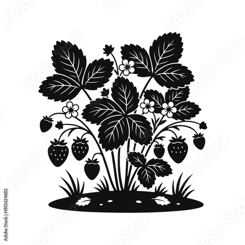 Strawberry bush with ripe berries and leaves line art botanical illustration, garden plant, berry bush, strawberry plant, organic fruit, summer harvest, fresh berries