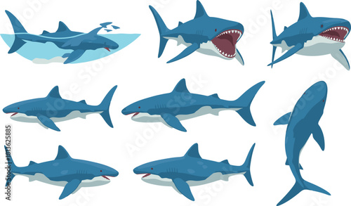 Collection of nine different shark illustrations in various poses and angles.