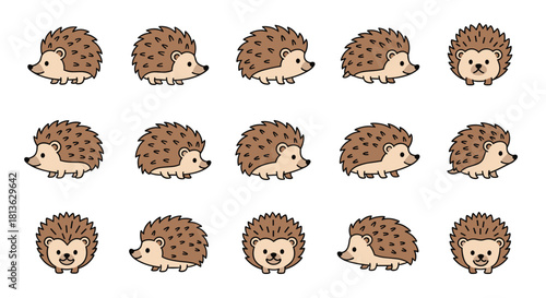 Adorable hedgehog pattern for kids' designs and playful projects, a charming animal print perfect for children's products and delightful decorations