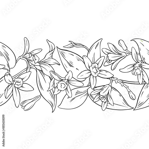Vanilla Branch with Flowers and Leaves Outline Horizontal Seamless Pattern. Vector isolated for design or decoration.