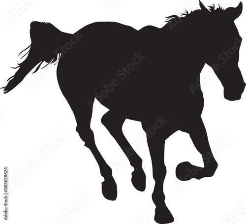 馬の疾走シーンのシルエット