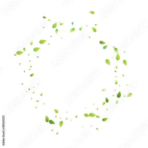 Leaves Green Falling. Spring Flying Foliage. Chaotic Leaf On White Background. Ecology Design.